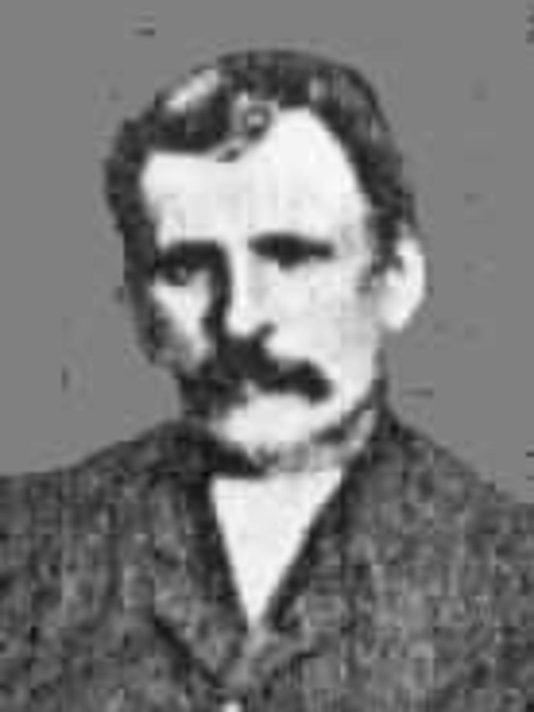 John Dingman Wilcox (1843 - 1922) Profile